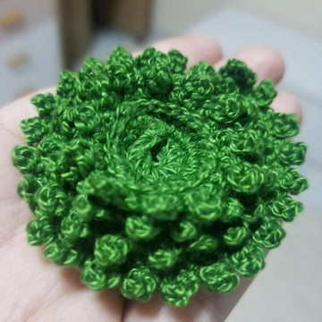 Spiral Spruce Tree