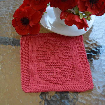 Dishcloth3