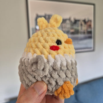 Chubby Cockatiel Bird