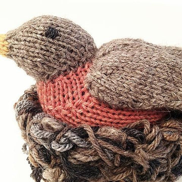Spring Robin