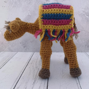 Casablanca the Camel