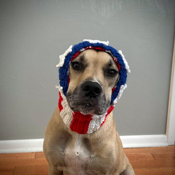 American Flag Dog Snood