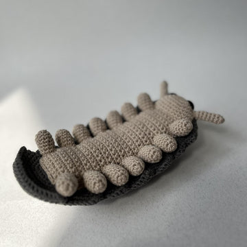 Roly Poly Pill Bug
