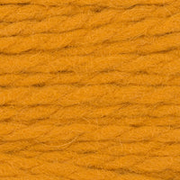 Butternut Squash (8444)