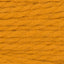 Butternut Squash (8444)