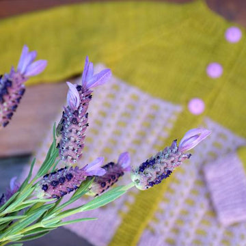 The Lavandula