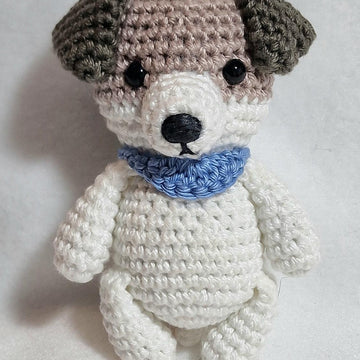 Jack Russell Terrier Dog