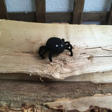 Nature Friends Spider
