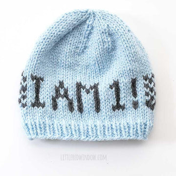 Adorable Any Age Birthday Hat
