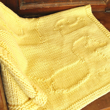Easy Duck & Duckling baby blanket