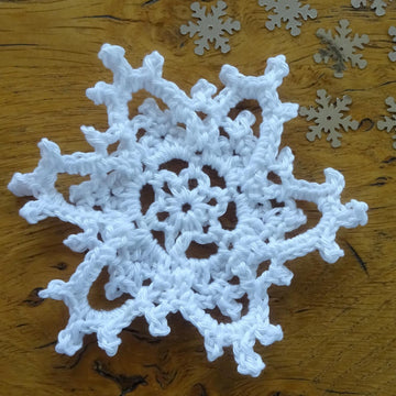2019 Snowflake