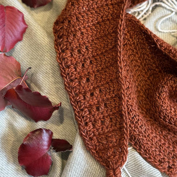 Wild Winter Shawl