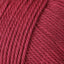 Fuchsia (15)