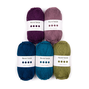Paintbox Yarns Simply Chunky 5 Ball Color Pack