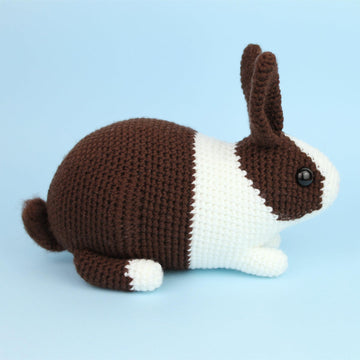 Dutch rabbit