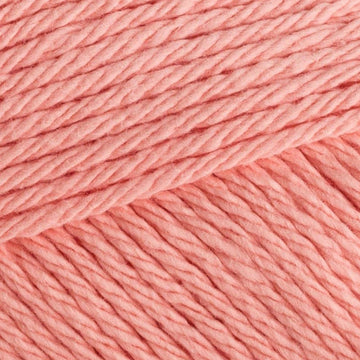 Tea Rose (0042)