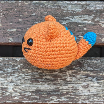 Semola, the Orange Cat