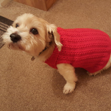 Sophie's Collared Mock Cable Jacket