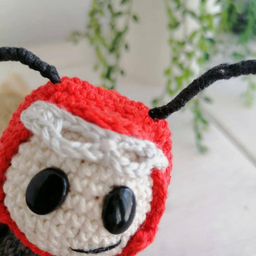 Fire V Bug