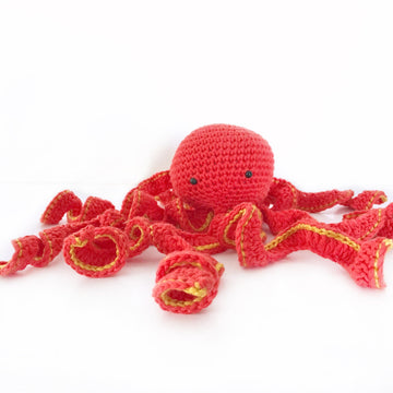 Little Octopus of Hong Kong