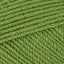 Fern Green (603)