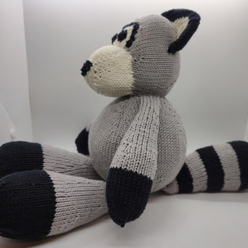 Rocky, the Raccoon