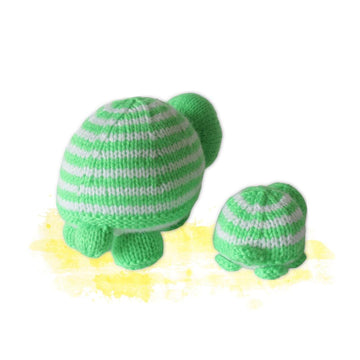 Tim and Tom Turtle