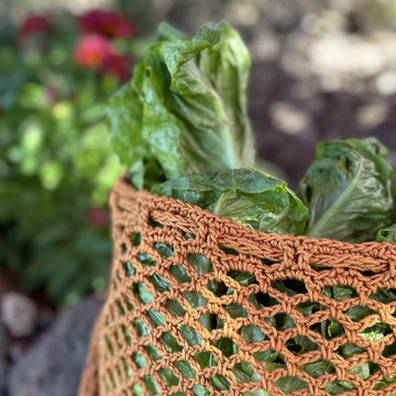 Medium Produce and Toy Bag