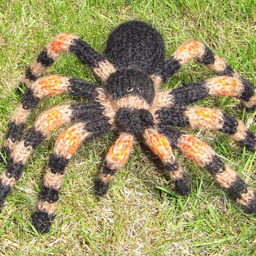 My Pet Tarantula