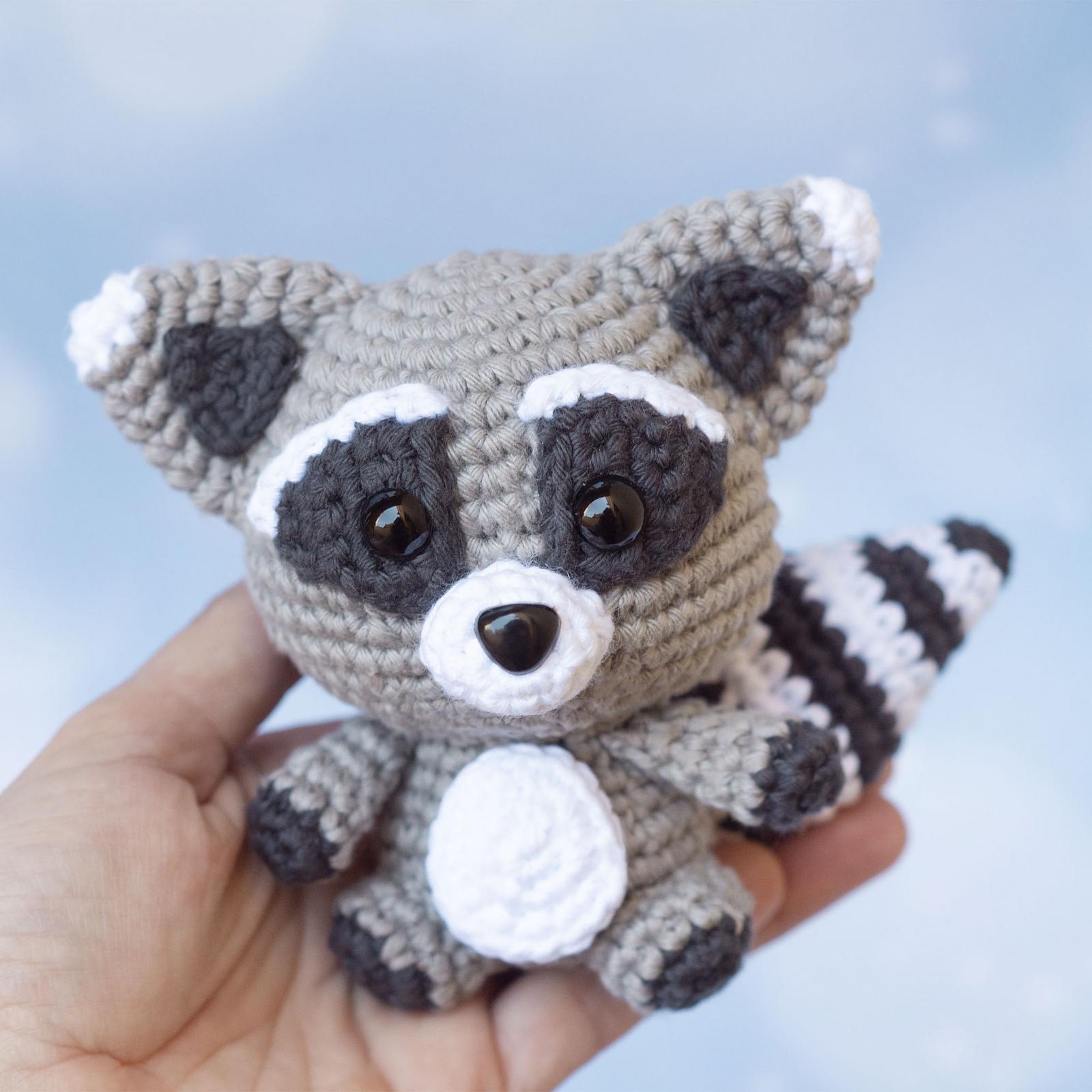 Baby Racoon