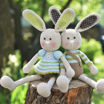 Long-ear Rabbit