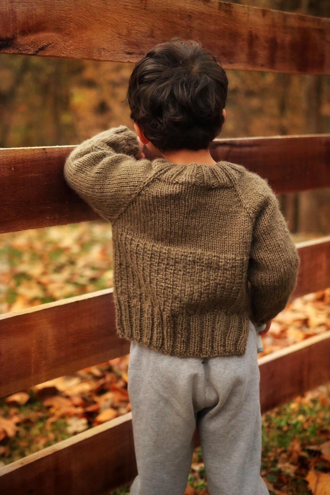 The Sapling Sweater
