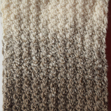 Walking in the Sand Scarf