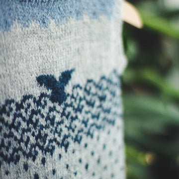 Max Whale Sweater (sleeveless)