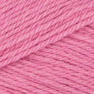 Raspberry (1772)
