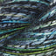 Sage (8277)