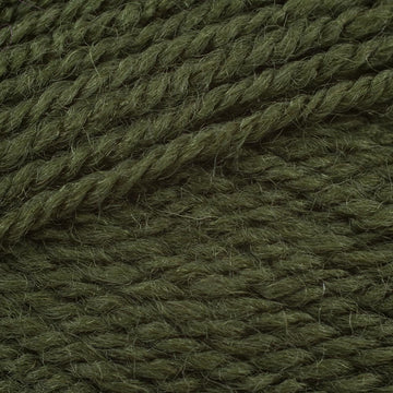 Olive (2302)