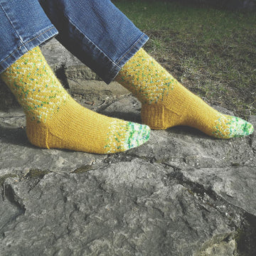 Line art socks