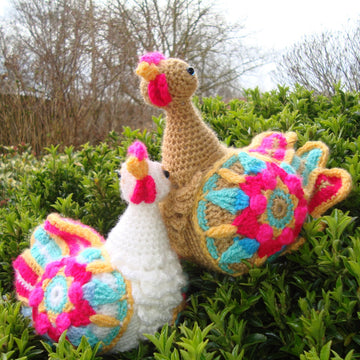 Flora and Grace, chicken sisters