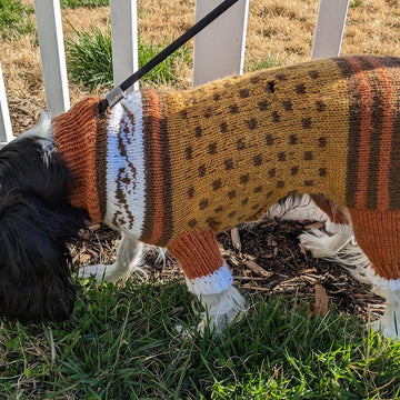 Stylin' Rescue Pup Sweater