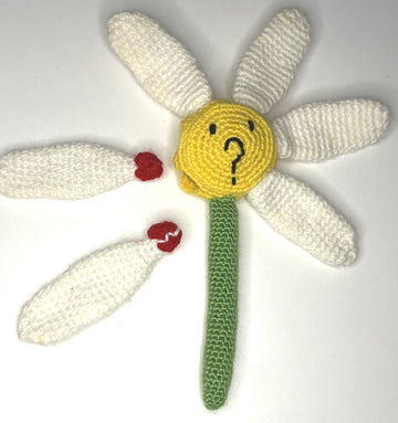 Loves Me, Loves Me Not Crochet Pattern