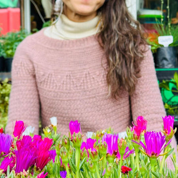 Paloma Sweater