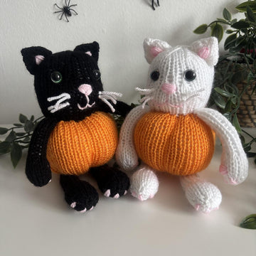 Pumpkin kitty