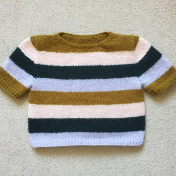 Seamless Retro Stripe Crop Top