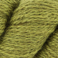 Gooseberry (4)