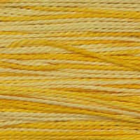 Sallys Sunshine (2218)