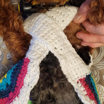 Mandala Dog Dress