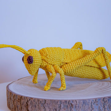 Grasshopper
