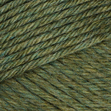 Marjoram (43118)