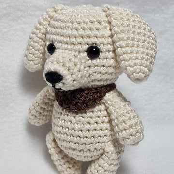 Labrador Retriever Dog